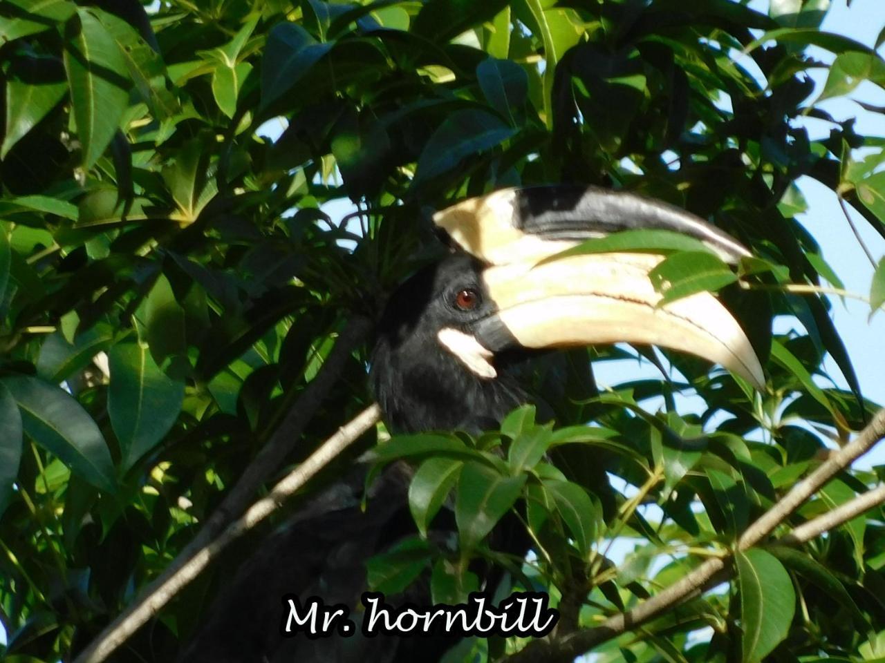 Yala Avian Eye Safari Apartment Buttala Exterior photo