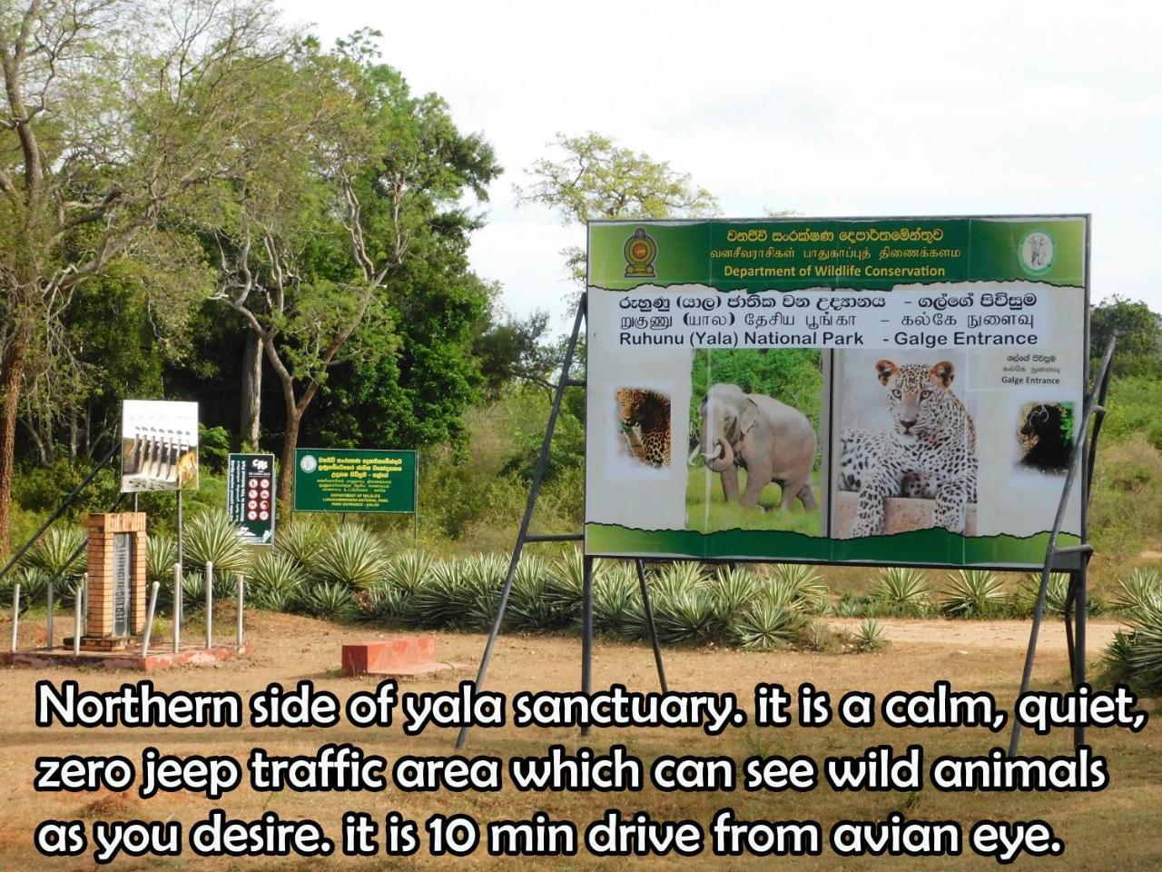 Yala Avian Eye Safari Apartment Buttala Exterior photo